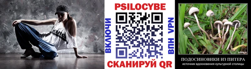 купить   Краснодар  Псилоцибиновые грибы GOLDEN TEACHER 